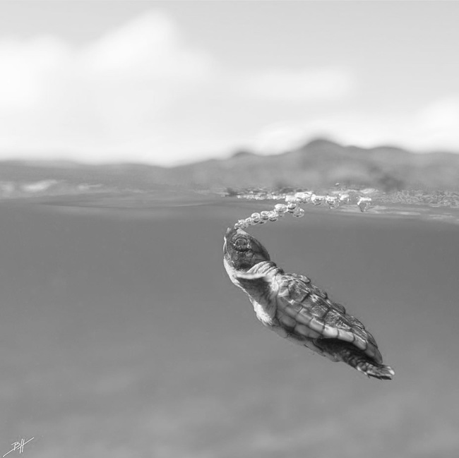 BnW Seascapes from Instagram